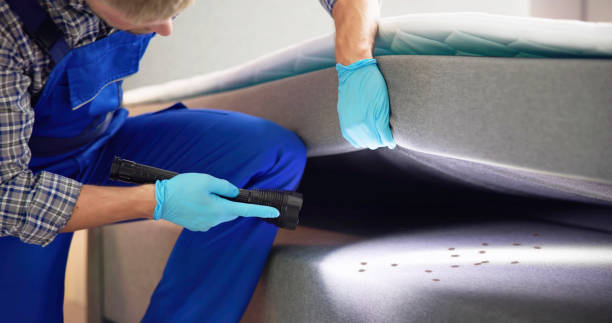 Pest Prevention Services in Portage, PA